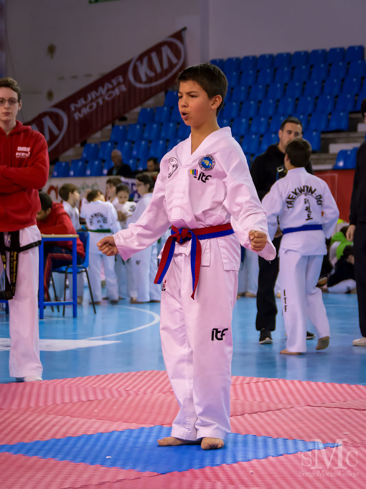 TAEKWONDO CAMPEONATO PAREJAS ABRIL 2018_1877.jpg